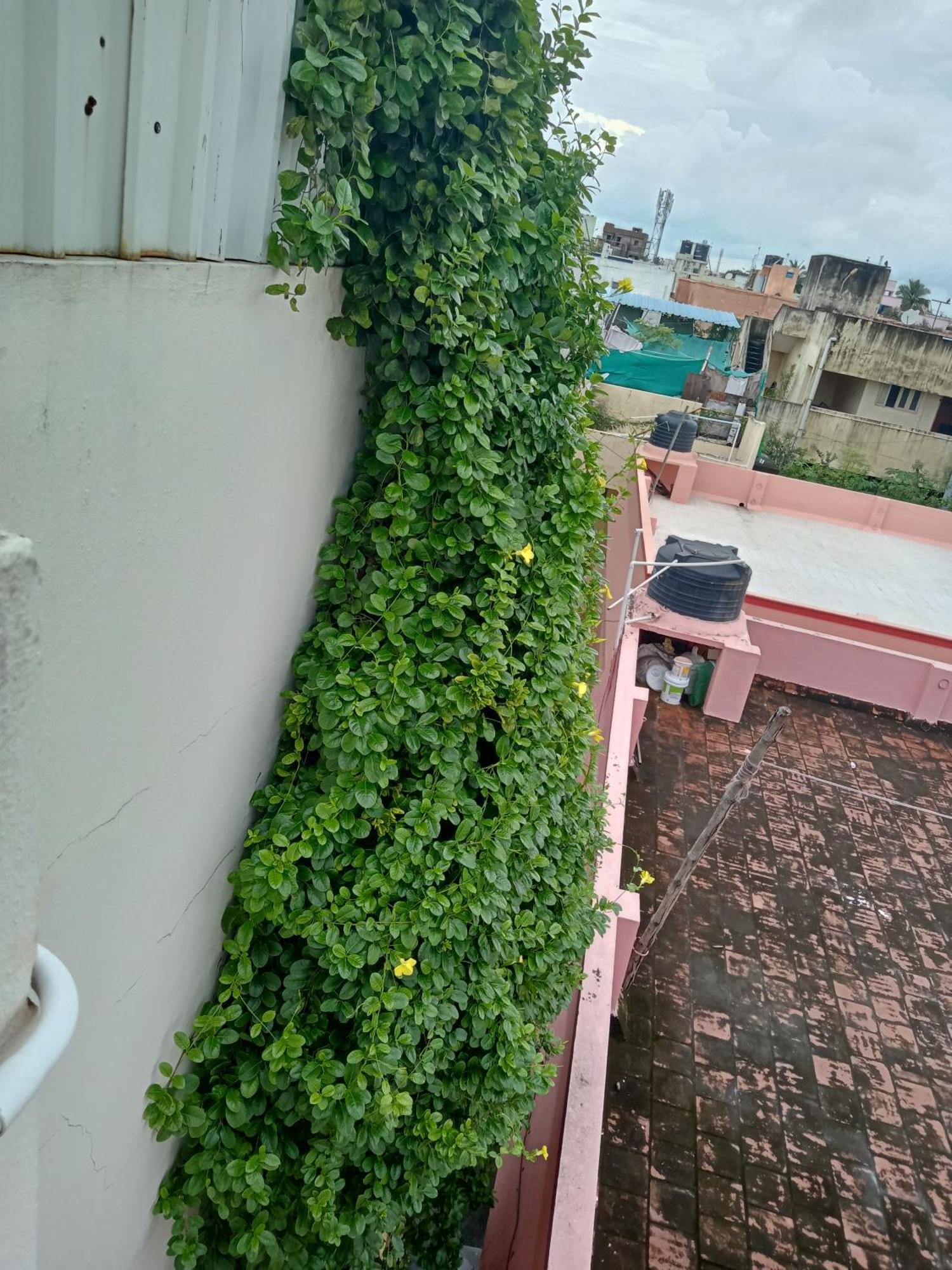 Allamanda Abode Aparthotel Chennai Ngoại thất bức ảnh